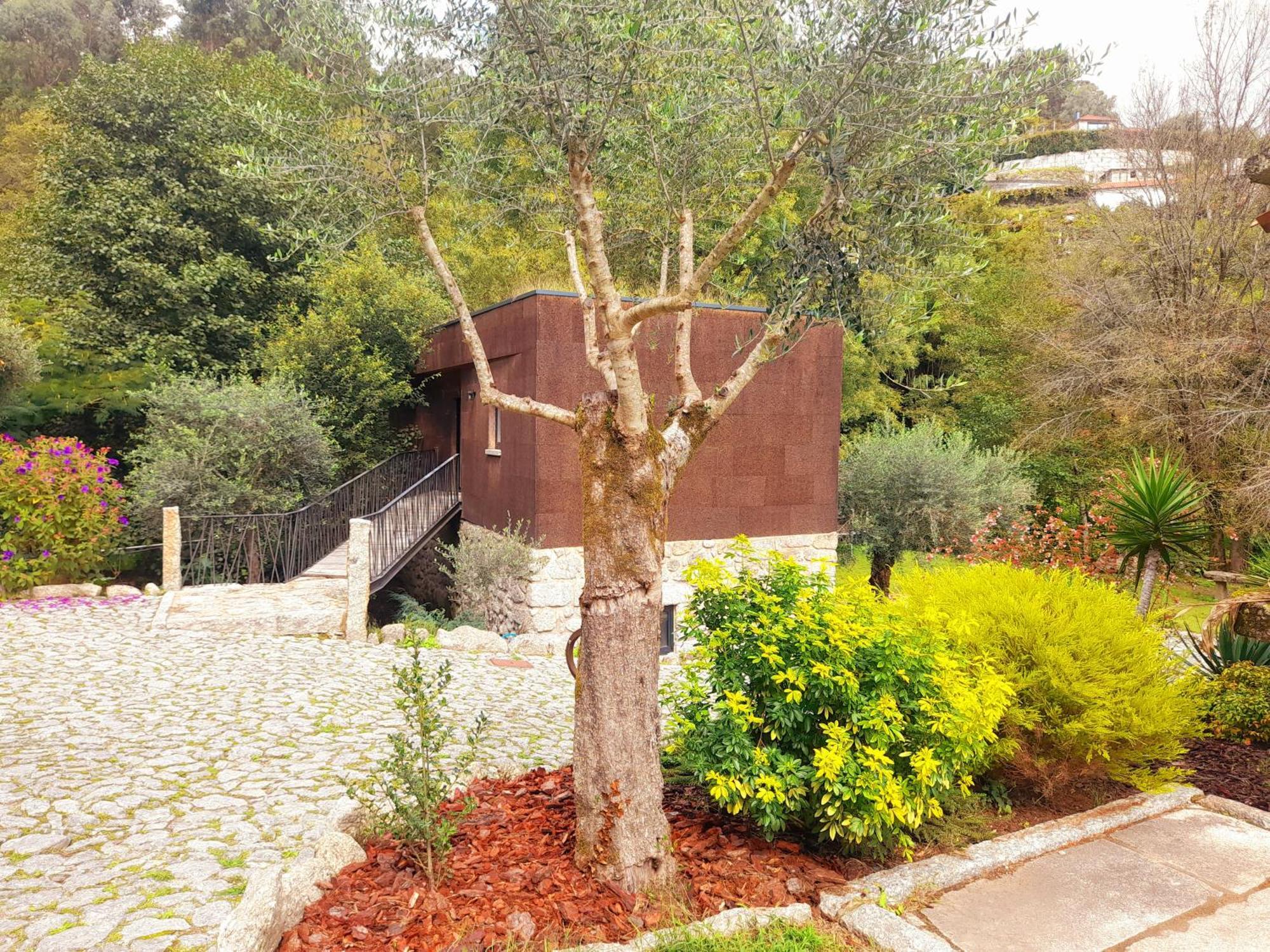 Vila Moinhos Carvalhas Arcos de Valdevez Exteriér fotografie