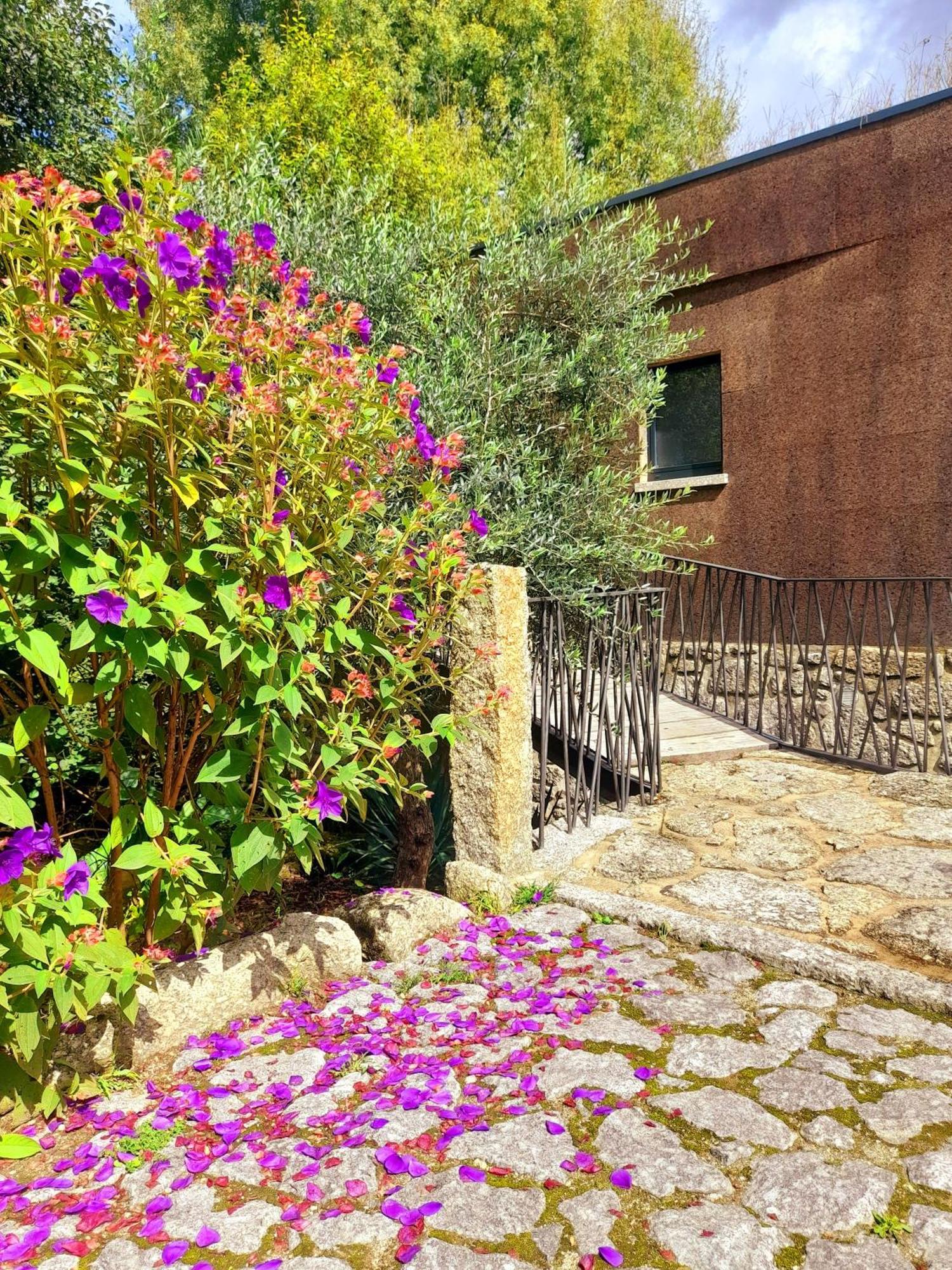 Vila Moinhos Carvalhas Arcos de Valdevez Exteriér fotografie